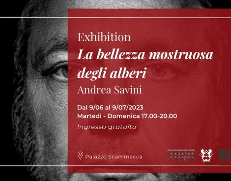 La bellezza Monumentale degli alberi. Exhibition di Andrea Savini