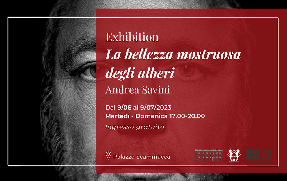 La bellezza Monumentale degli alberi. Exhibition di Andrea Savini