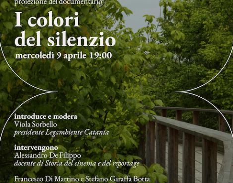I colori del silenzio 09/04